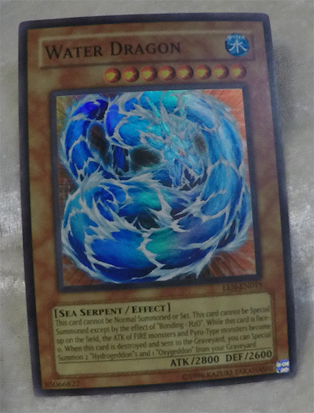 Water Dragon EEN-EN015